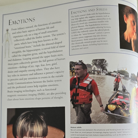 🩻 Atlas Of The Human Body Hardcover Book - Picture 10 of 16